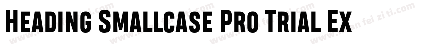 Heading Smallcase Pro Trial ExtraBo字体转换